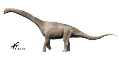 Turiasaurus délka 30-37 m